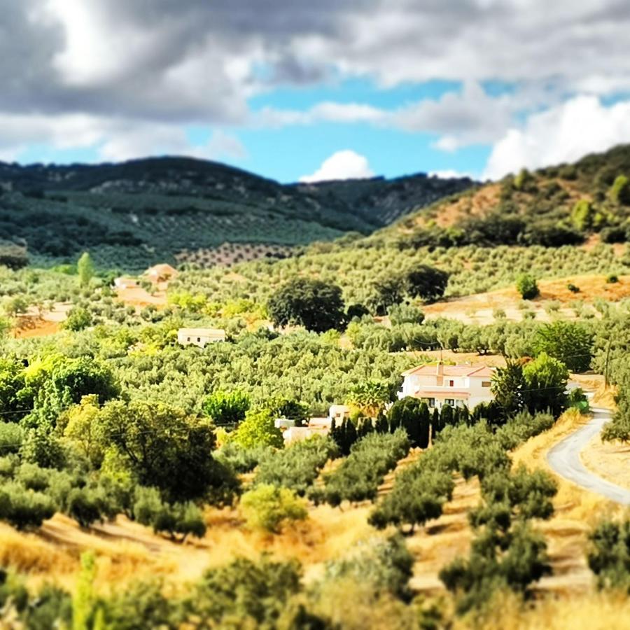 Cortijo Pennymaria Poolside Apartment Near Montefrio With Stunning Views Exteriör bild