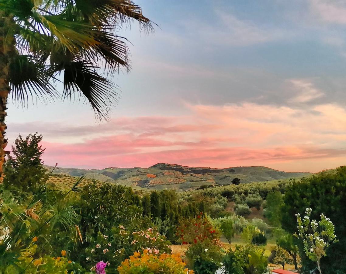 Cortijo Pennymaria Poolside Apartment Near Montefrio With Stunning Views Exteriör bild